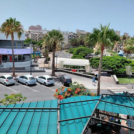 Casas Blancas Tortugas *